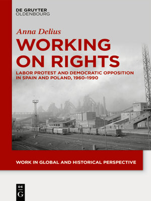 cover image of Working on Rights